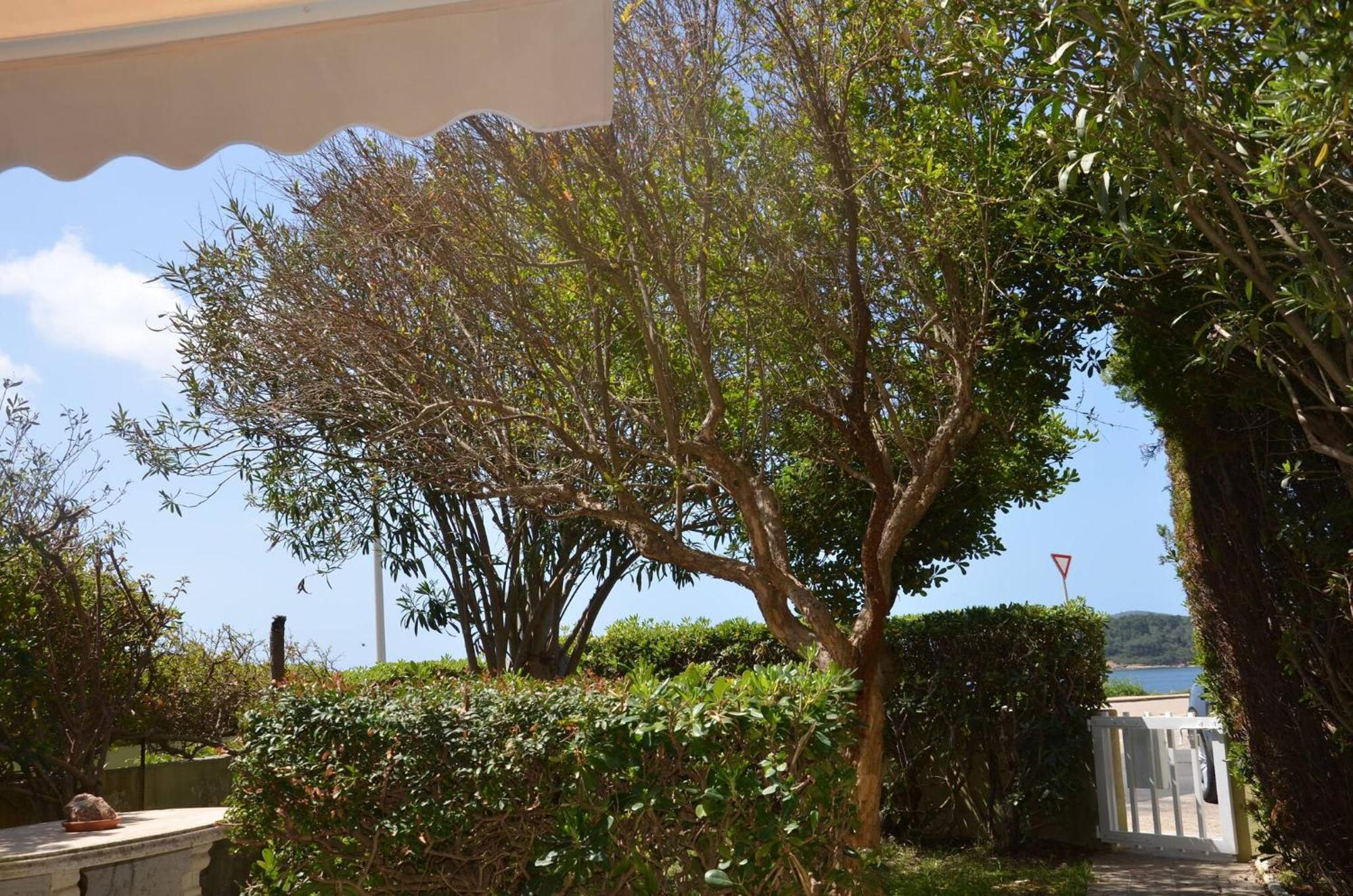 Fantastic Sardinia Villette Con Giardino Fronte Mare Fertilia Faho-Gav01-Gav02 ภายนอก รูปภาพ