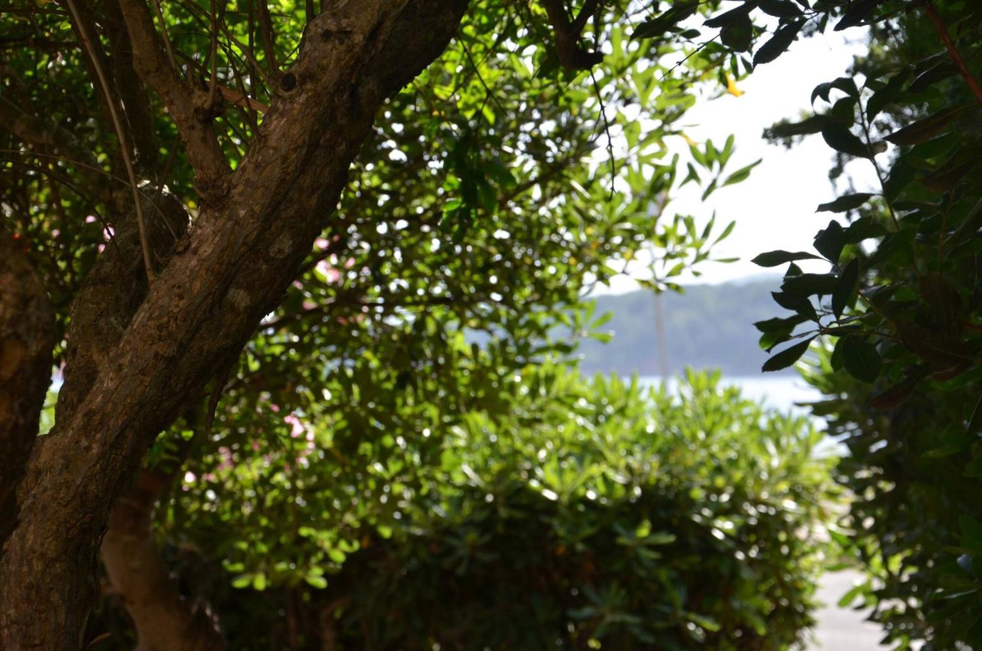 Fantastic Sardinia Villette Con Giardino Fronte Mare Fertilia Faho-Gav01-Gav02 ภายนอก รูปภาพ