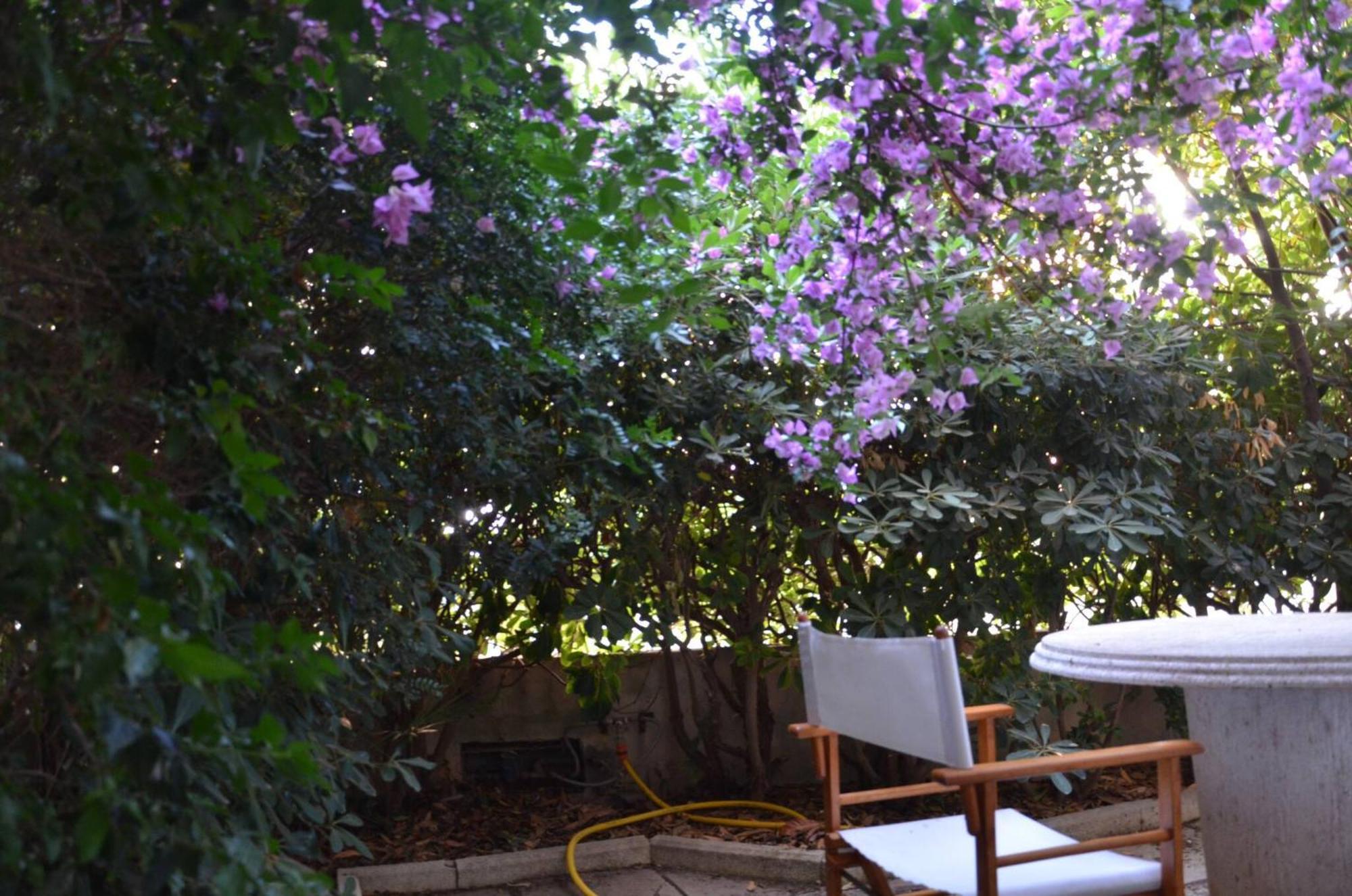 Fantastic Sardinia Villette Con Giardino Fronte Mare Fertilia Faho-Gav01-Gav02 ภายนอก รูปภาพ