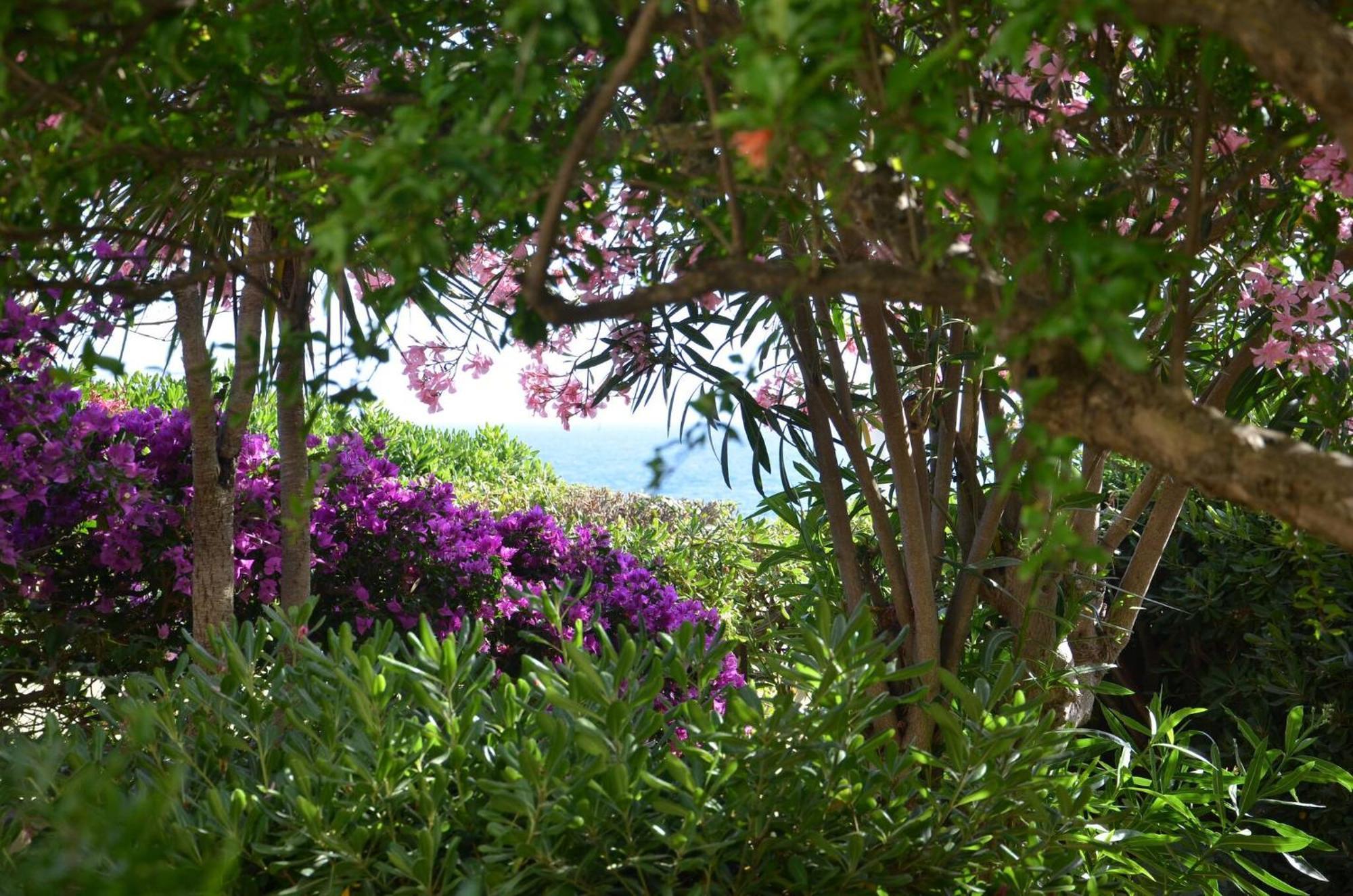 Fantastic Sardinia Villette Con Giardino Fronte Mare Fertilia Faho-Gav01-Gav02 ภายนอก รูปภาพ