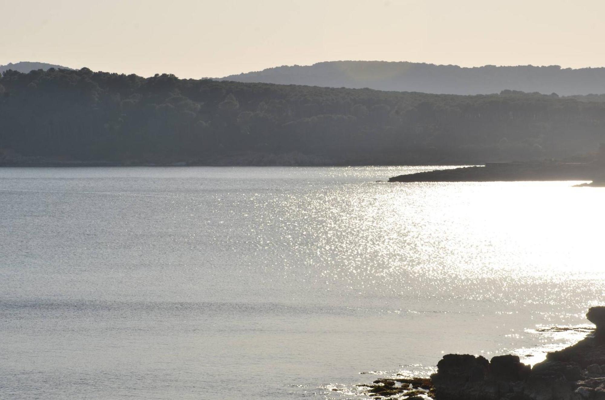 Fantastic Sardinia Villette Con Giardino Fronte Mare Fertilia Faho-Gav01-Gav02 ภายนอก รูปภาพ
