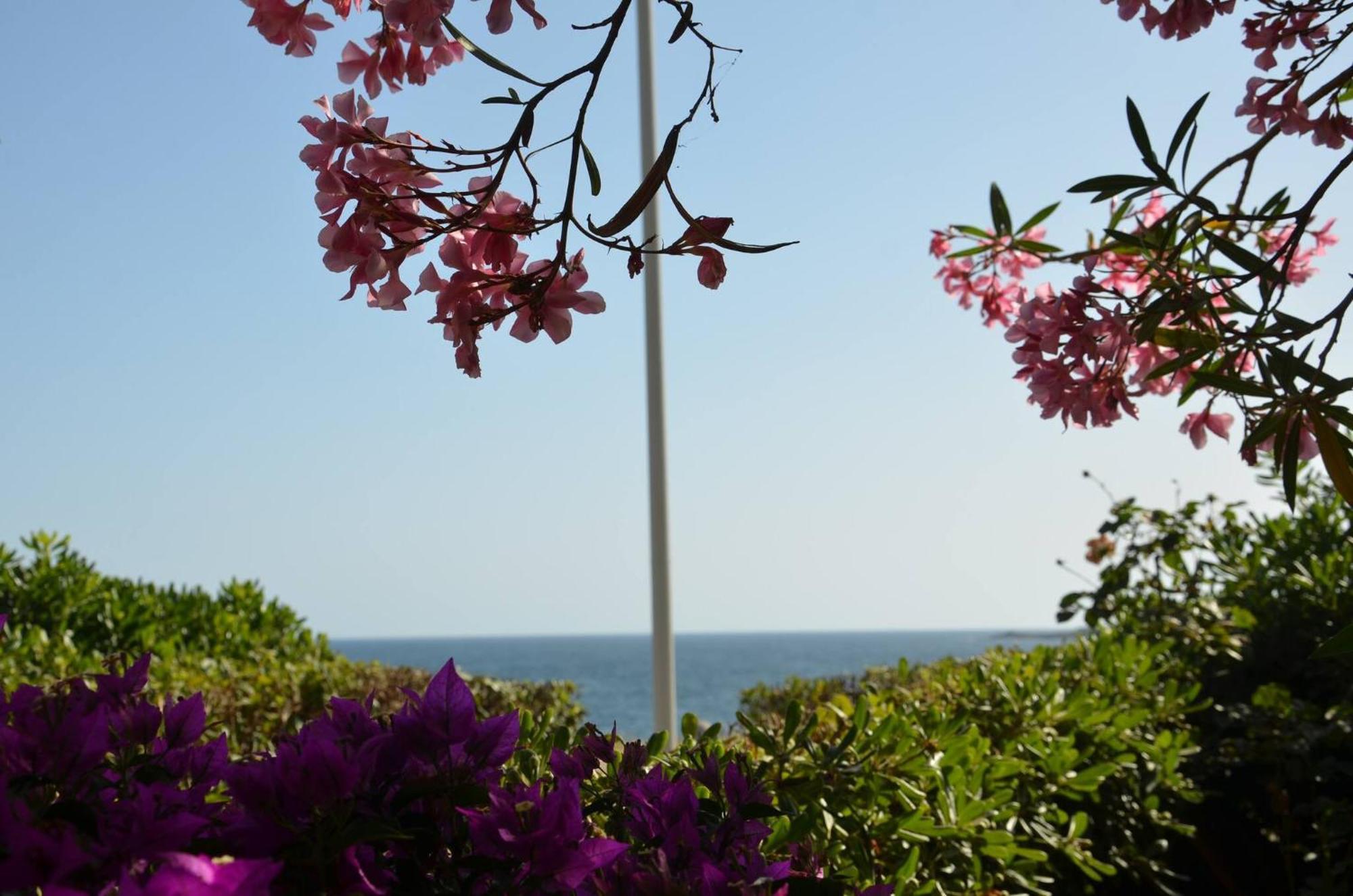 Fantastic Sardinia Villette Con Giardino Fronte Mare Fertilia Faho-Gav01-Gav02 ภายนอก รูปภาพ
