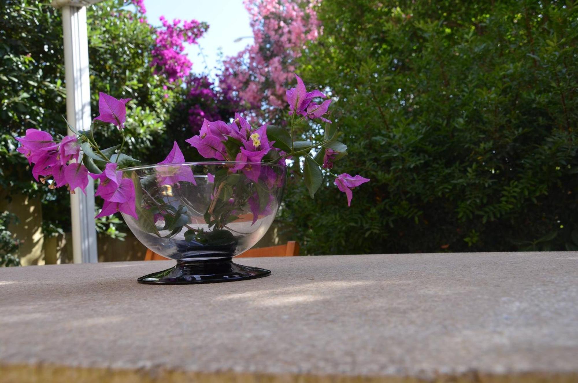 Fantastic Sardinia Villette Con Giardino Fronte Mare Fertilia Faho-Gav01-Gav02 ภายนอก รูปภาพ