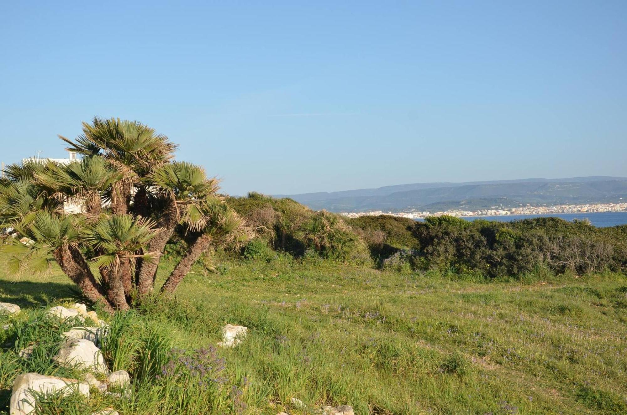 Fantastic Sardinia Villette Con Giardino Fronte Mare Fertilia Faho-Gav01-Gav02 ภายนอก รูปภาพ
