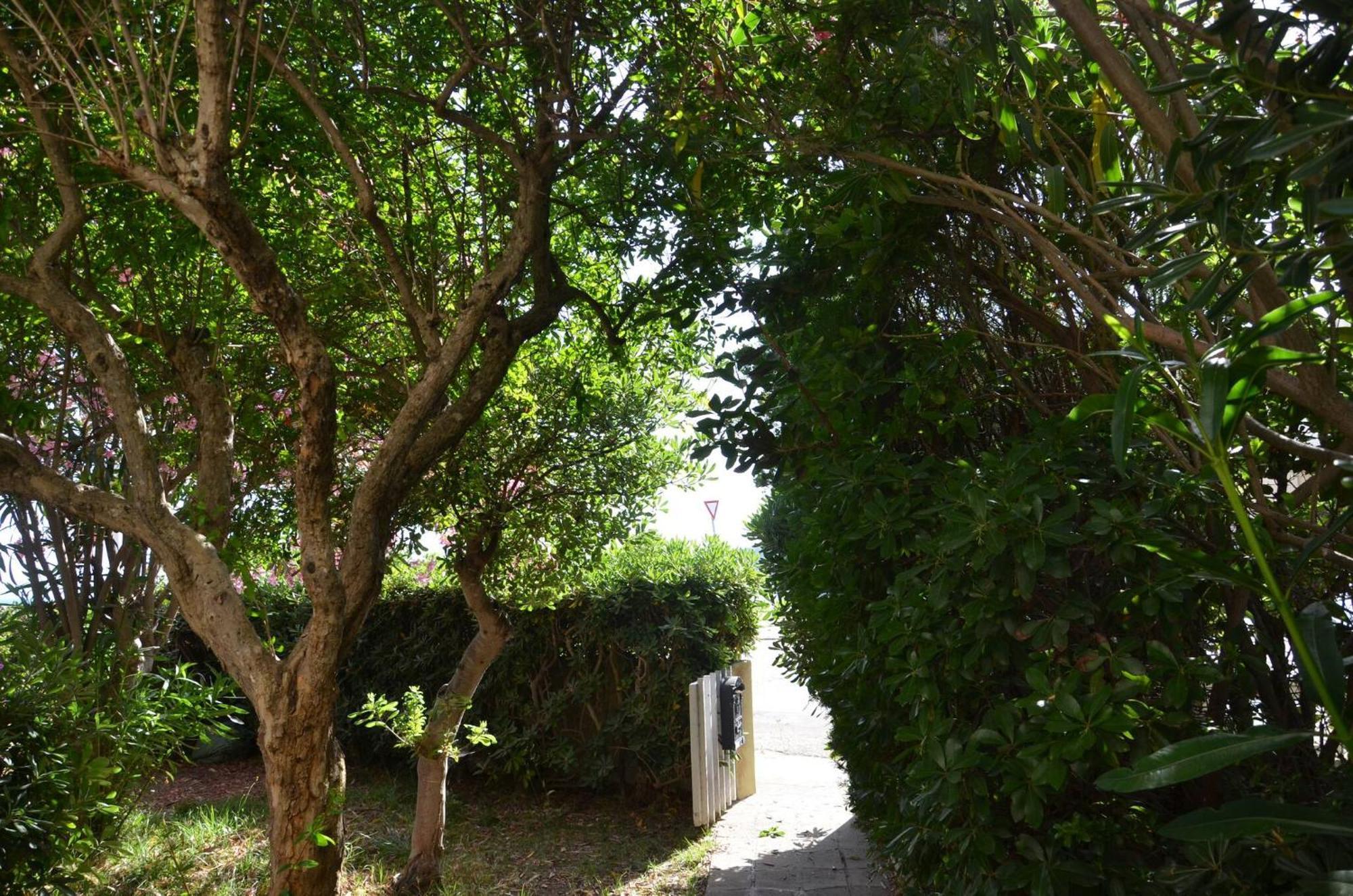 Fantastic Sardinia Villette Con Giardino Fronte Mare Fertilia Faho-Gav01-Gav02 ภายนอก รูปภาพ