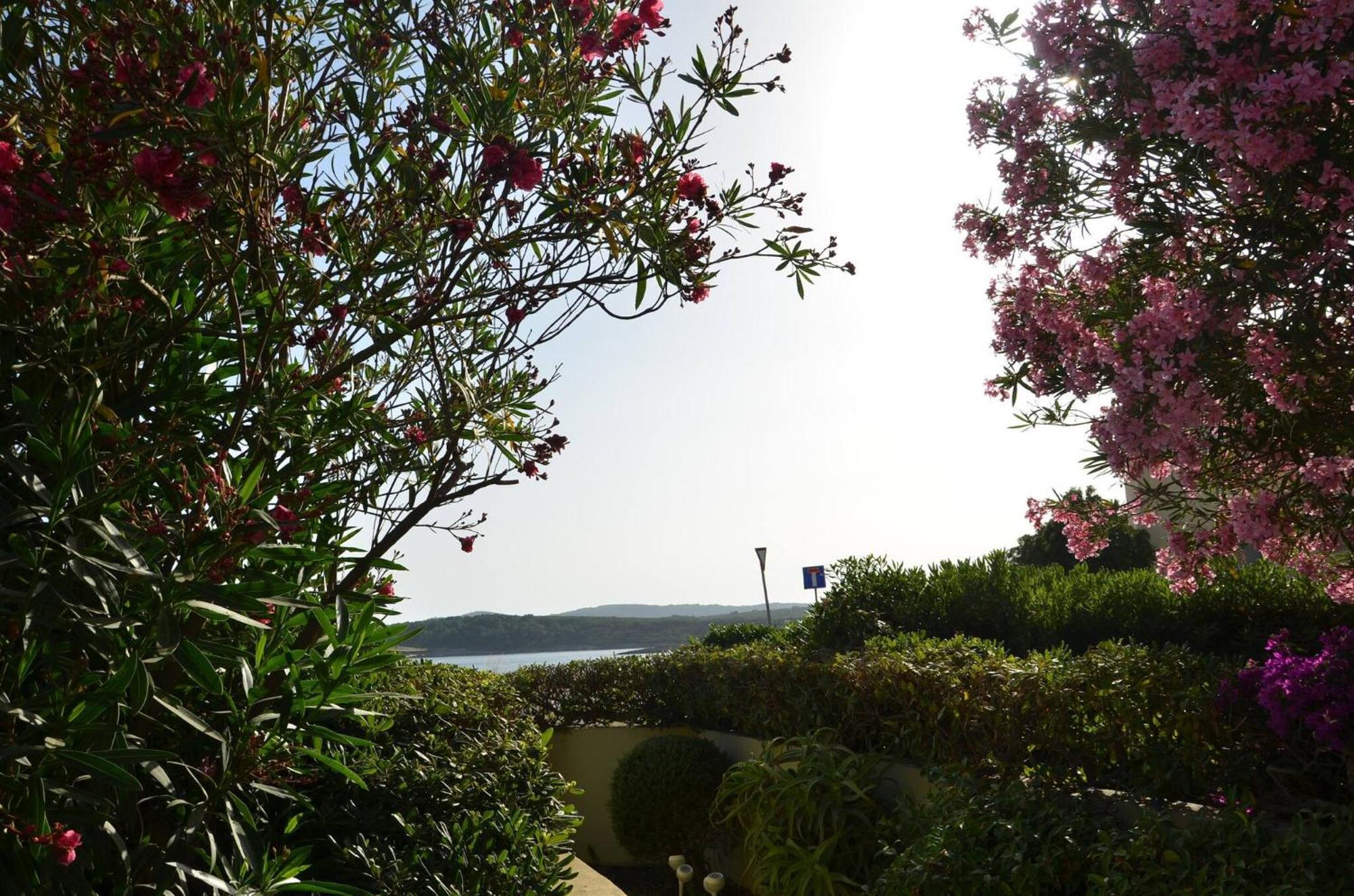 Fantastic Sardinia Villette Con Giardino Fronte Mare Fertilia Faho-Gav01-Gav02 ภายนอก รูปภาพ