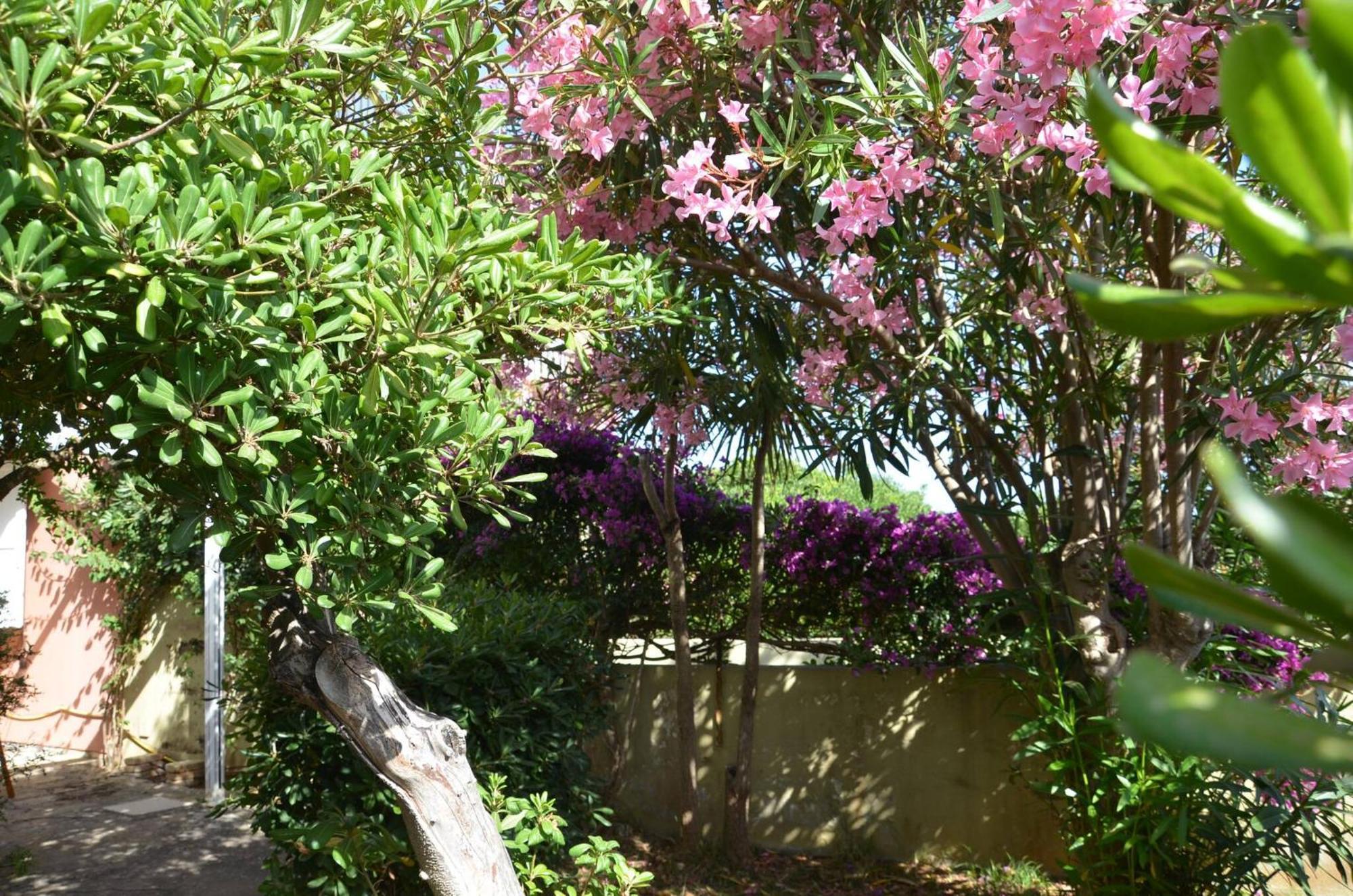 Fantastic Sardinia Villette Con Giardino Fronte Mare Fertilia Faho-Gav01-Gav02 ภายนอก รูปภาพ