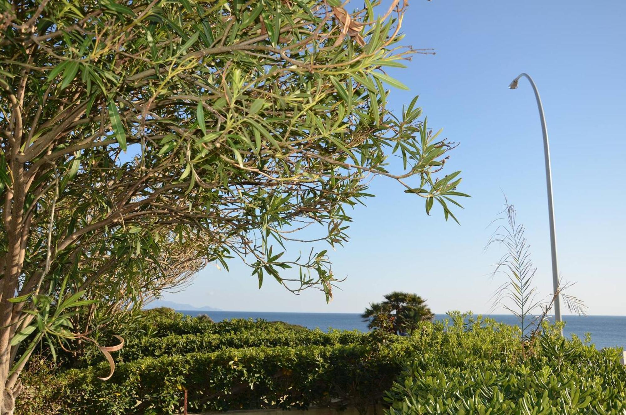 Fantastic Sardinia Villette Con Giardino Fronte Mare Fertilia Faho-Gav01-Gav02 ภายนอก รูปภาพ