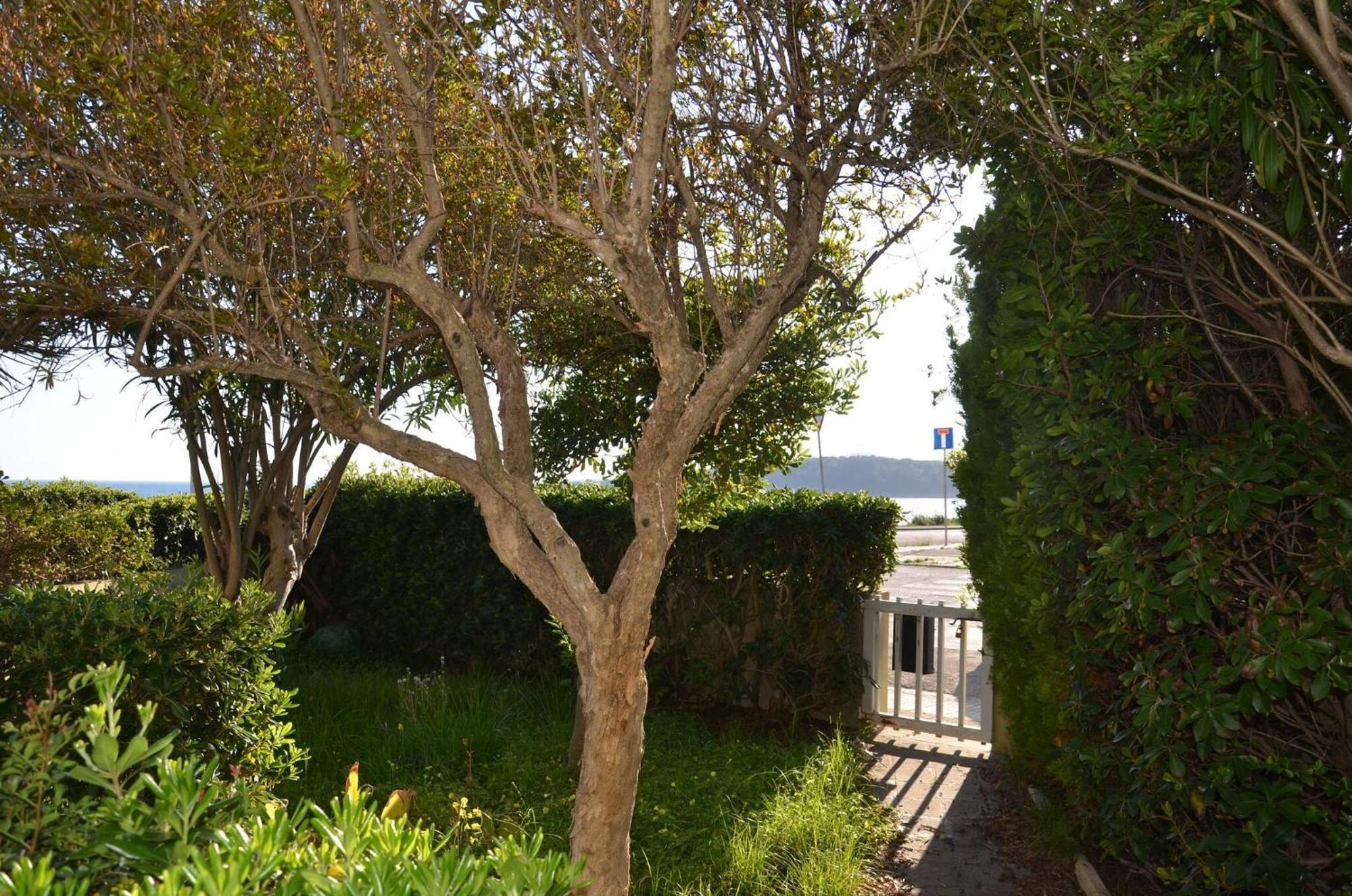 Fantastic Sardinia Villette Con Giardino Fronte Mare Fertilia Faho-Gav01-Gav02 ภายนอก รูปภาพ