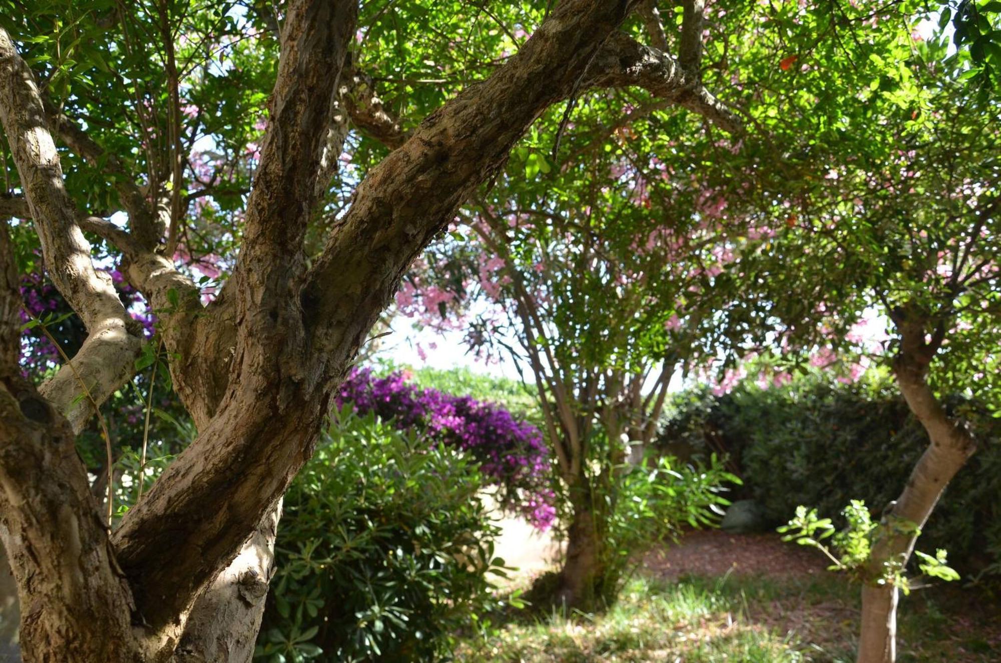 Fantastic Sardinia Villette Con Giardino Fronte Mare Fertilia Faho-Gav01-Gav02 ภายนอก รูปภาพ